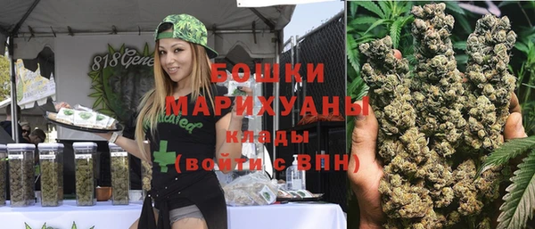 прущие грибы Вязьма