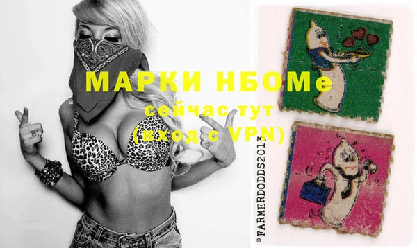 прущие грибы Вязьма