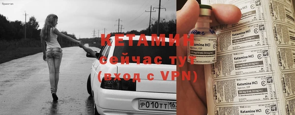 прущие грибы Вязьма