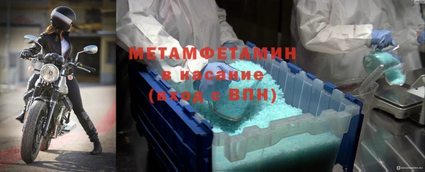 прущие грибы Вязьма